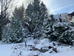 Foto sihtkohas Kitzbühel asuva majutusasutuse Flow In galeriist