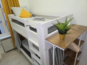 Kuchyň nebo kuchyňský kout v ubytování WohnTraum zur alten Post, Sauna, Altstadt