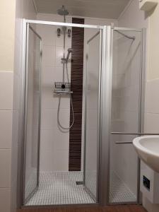 une douche avec une porte vitrée dans une salle de bain dans l'établissement Ferienhaus Hermann mit Garten, Terrasse, Kamin und 300m zum Deich/ Salzwiesen, à Sankt Peter-Ording
