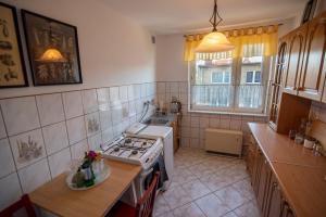 a kitchen with a stove and a sink at Apartament Kama in Paczków
