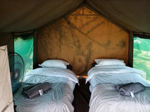 Postel nebo postele na pokoji v ubytování Yebo Safari Tents-Stay Inside Kruger + 37 fotografií
