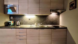 Kuchyň nebo kuchyňský kout v ubytování Tiché Anenské Apartmány s hotelovým servisem a s kvalitní snídaní na apartmán - by Relax Harrachov