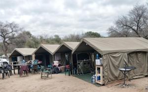 Fotografie z fotogalerie ubytování Yebo Safari Tents-Stay Inside Kruger v destinaci Skukuza