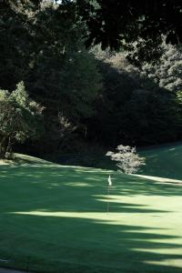 Golf v hotelu nebo okolí
