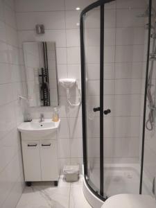 a bathroom with a shower and a sink and a toilet at Trzy Korony Apartament in Nowy Sącz