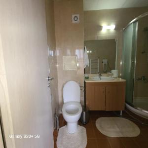 パンポロボにあるPamporovo hotel Snezhanka A640のトイレと洗面台のあるバスルーム