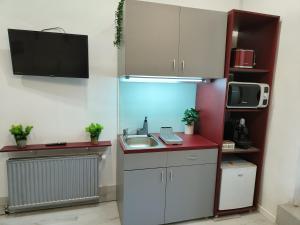 a kitchen with a sink and a microwave at Cluj Center 3 in Cluj-Napoca