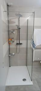 eine Dusche mit Glastür im Badezimmer in der Unterkunft Villa proche plage pour 2 pers in Vielle-Saint-Girons