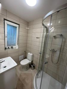 a bathroom with a shower and a toilet and a sink at Chalupa Synka in Terchová +48 photos