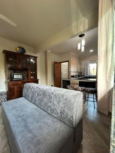a living room with a couch and a kitchen at Apartamento Santa Cruz in Santa Cruz