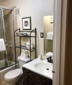 a bathroom with a sink and a toilet and a shower at Walkable to Sanford Stadium or downtown in Athens