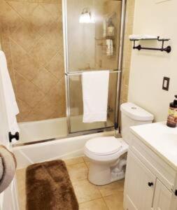 Un baño con ducha, inodoro y lavabo. en Top-floor view, Walk to Sanford Stadium, en Athens
