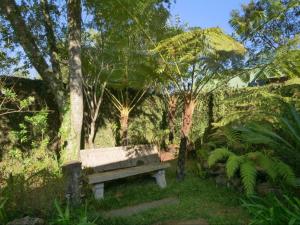 Giardino di Forest and Ferns