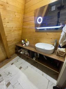 a bathroom with a toilet and a sink on a counter at Villa Leka in Siničane +6 photos