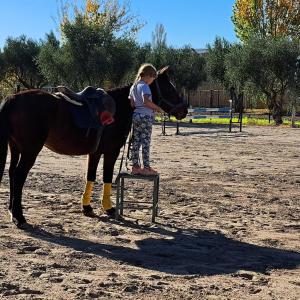 una joven parada en un puesto junto a un caballo en El Pinar Caballeriza, en San Rafael
