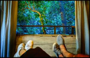 Foto de la galeria de Knuckles Off-Grid Cabin With Waterfall View a Kaduwela