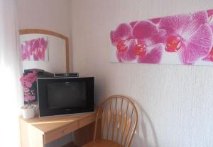 TV a/nebo společenská místnost v ubytování Apartment Dragica