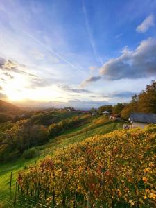 Gallery image of Holiday home in Mirna Kranjska Krain 42906 in Mirna