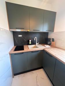 Kuchyň nebo kuchyňský kout v ubytování Apartmani Velnic 2