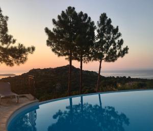 a swimming pool with a view of the ocean at Domaine Pietra di Sole in Porto-Vecchio +29 photos