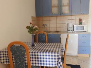 Kuchyňa alebo kuchynka v ubytovaní Apartment Ren