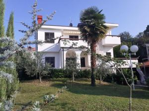 Zahrada ubytování House Renata