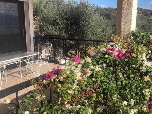 Fotografia z galérie ubytovania Olive grove Cottage-Hermioni,Hydra,Spetses &Poros v destinácii Ermioni