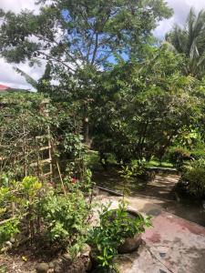 Κήπος έξω από το Butterfly Villa +10 φωτογραφίες