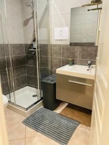 a bathroom with a shower and a sink and a toilet at La Cigogne in Châteauvillain