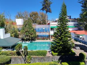 a swimming pool with a christmas tree in front of a building at Gran Hotel Xalapa in Xalapa