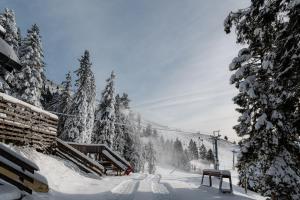 a snow covered ski slope with a ski lift at Old House - Krvavec ski resort in Cerklje na Gorenjskem +2 photos