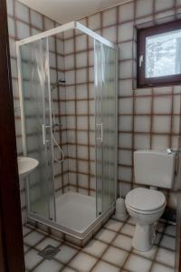 a bathroom with a shower and a toilet at Old House - Krvavec ski resort in Cerklje na Gorenjskem