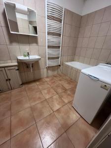 Koupelna v ubytování Arany fácán apartman