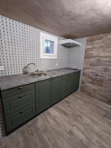 a green kitchen with a sink and a wall at Petit LOFT Jardin Terrasse Climatisation WI FI Parking public gratuit in Elne
