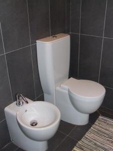 een badkamer met een toilet en een wastafel bij Garden House in Florence