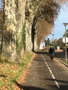 a person riding a bike down a road with an umbrella at Studio Cosy Illkirch in Strasbourg +1 photo