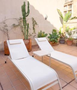 Fotografie z fotogalerie ubytování Ramón Llull House v destinaci Palma de Mallorca