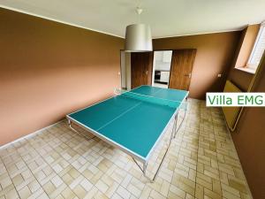 a blue ping pong table in a room at Group Villa EMG Münster Riesenbeck Osnabruck - Saerbeck in Saerbeck +34 photos