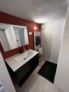 a bathroom with a white sink and a mirror at Beau studio dans le centre de Bourges historique ! in Bourges