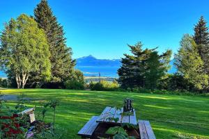 a picnic table in a field with a view of the water at Raspberry Cottage in Homer