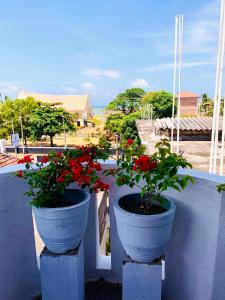 two blue pots with red flowers on a wall at Bhashiz Villa in Negombo +29 photos