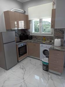 Η κουζίνα ή μικρή κουζίνα στο Chios Cozy Apartment 1