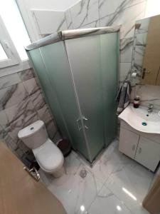 a bathroom with a toilet and a sink at Chios Cozy Apartment 1 in Sklaviá +26 photos