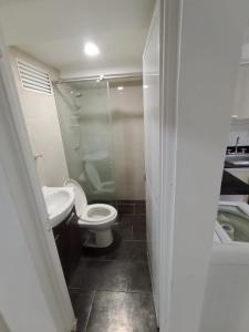 een kleine badkamer met toilet en wastafel bij Apto Marbella in Cartagena +6 foto's