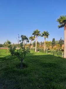 Jardin de l'établissement Superides Camp