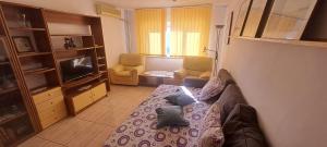 a living room with a couch and a tv at Apartament Alina Et 1 in Mangalia
