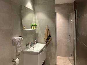 Ένα μπάνιο στο Apartman Glečer Vila Bela Reka