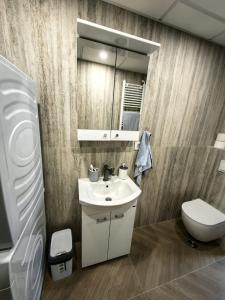 O baie la Apartman Cetkovic
