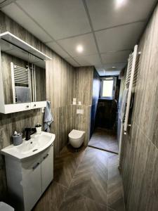 a bathroom with a sink and a toilet and a shower at Apartman Cetkovic in Belgrade +16 photos