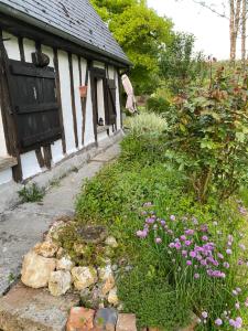 Zahrada ubytování Le petit Fournil - Vue sur le bocage normand - 4p